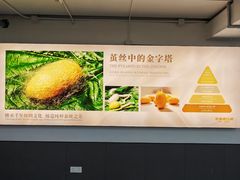 -杭州西湖丝绸文化博物馆