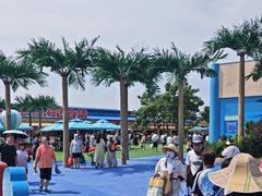 -秦皇岛乐岛海洋王国