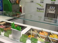 -Salud撒露欧洲冻酸奶(蓝色港湾店)