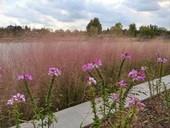 -上海植物园-4号门售票处