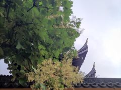 -好面道大肠面(中华路店)