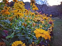 -苏州上方山国家森林公园