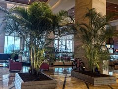 -东莞松山湖凯悦酒店