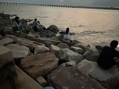 -宝安西湾红树林湿地公园