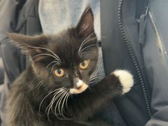 -芭比堂动物医院·CT·微创中心(新顺分院)