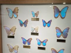 -上海昆虫博物馆