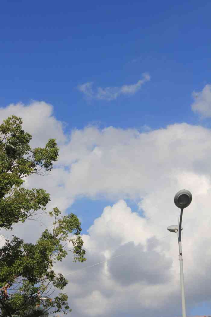 s1线龙霞路站-"许久没有回到温州能写的东西也是越来越少了.