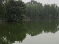 -黄村公园