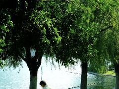 -天鹅湖体育公园