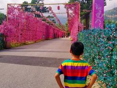 -北京凤凰岭