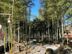 -萍乡武功山风景名胜区