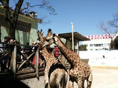 -昆明动物园