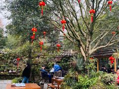 -青城甲(青城山店)