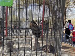 -长白岛森林公园