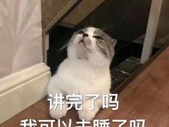 -新梅华·茶点餐厅(欧尚店)