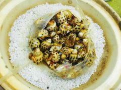 -轩记海鲜餐厅·四十五年老字号·经典粤菜(西区彩虹店)