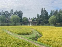 -乌村
