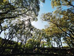 -天一阁博物院