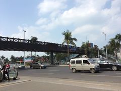 南门外过街天桥-万绿园
