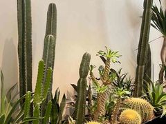 -J Create城市露营咖啡·简餐·宠物(上海动物园店)