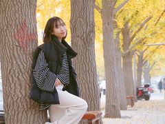 -三里屯东五街银杏大道