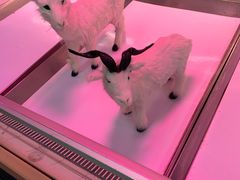 -农工商超市(金沙江路店)