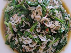 -小叶大馅饺子城