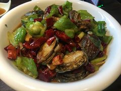 船歌辣炒小鲍鱼-船歌·鱼水饺青岛菜(闽江二路店)