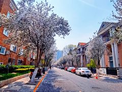 -天津五大道文化旅游区