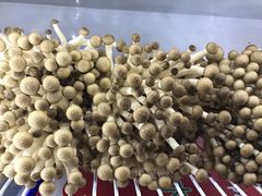 -东椰·海南椰子鸡火锅(朝阳门店)