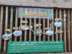 -江苏三台山国家森林公园