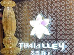 -Thai Alley泰爱里(二沙岛店)