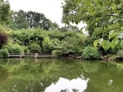 -汇龙潭