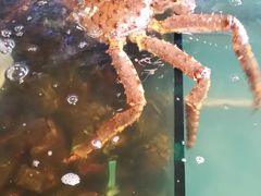 -蟹之国·精品蟹料理(极地店)