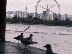 -庾园