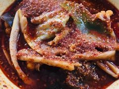 -高记什邡肖麻辣(成都店)