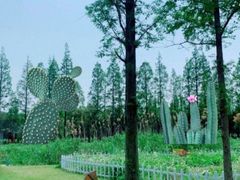 -前小桔亲子创意农场·草莓采摘·露营烧烤