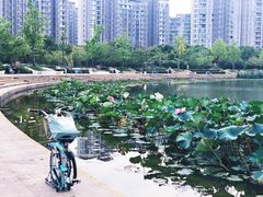 -新江湾城公园