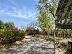 -永定河休闲森林公园