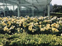 -锦江之星(西安五路口地铁站万达广场店)