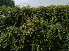 -品腐记·豆腐王朝(老门东总店)