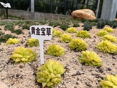 -广东茂名森林公园