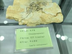 -房山世界地质公园博物馆