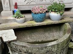 -龙姐私房菜(和顺古镇店)