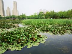 -前关湿地公园