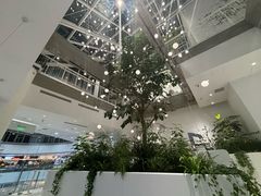 -大树餐厅(红旗街万达店)