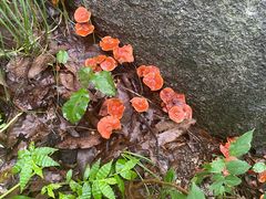 -天津盘山风景名胜区