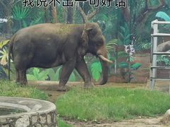 -西安秦岭野生动物园