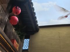 -徽三说·土徽菜·中国徽菜连锁品牌(一中店)