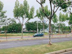 -上海山野camping·户外天幕烧烤·团建拓展营地